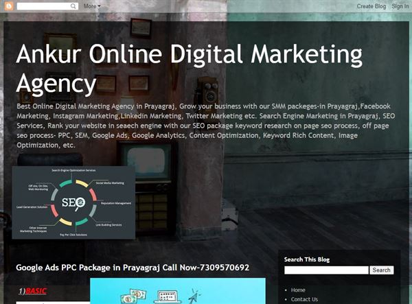 Ankur Digital Marketing Services